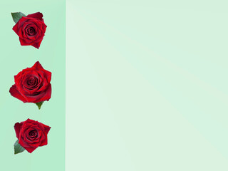 Three doses on a light green background