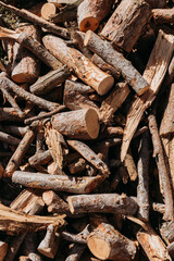 Wood logs storage. Wood background.