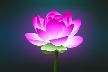 Pink Lotus Flower 