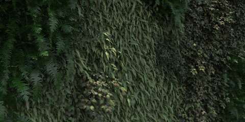 Wall is full of vegetation