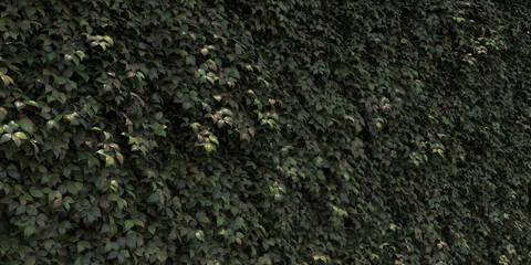 Wall is full of vegetation green color