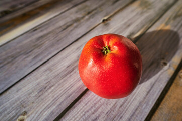 An apple that is lit by the sun and decoratively lies on a wooden surface.
