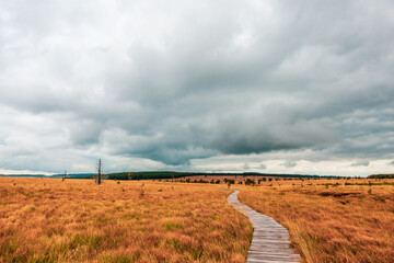 Landscape in the High Fens Nature Park in the Eifel, Belgium..