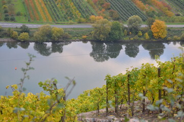 River Moselle through the Moselle valley with the famous vineyards