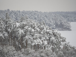 Landschaft im Winter