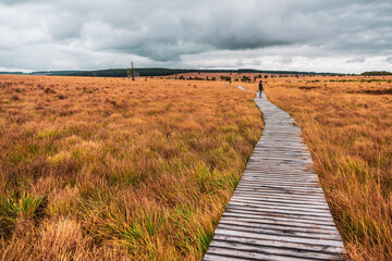 Landscape in the High Fens Nature Park in the Eifel, Belgium. Hike in the nature park.