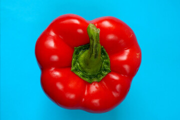 juicy red sweet pepper stands on a blue background top view . an ingredient in the kitchen