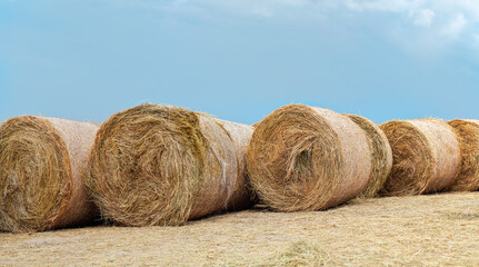 Hay stack rolls on ground, clear blue sky above