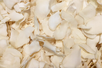 texture of coconut slices close-up