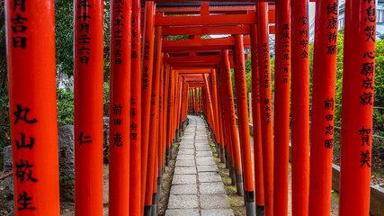 wooden pillars of so called Torii path in Shinto Hie Shrine