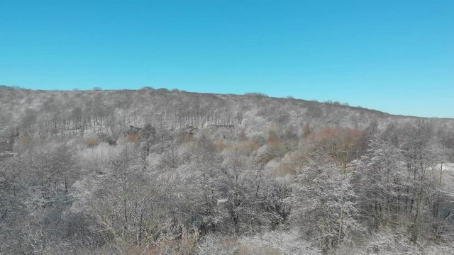 Beautiful winter forest. The trees are covered with snow and frost. View from the verdu over the forest. Flight between trees.