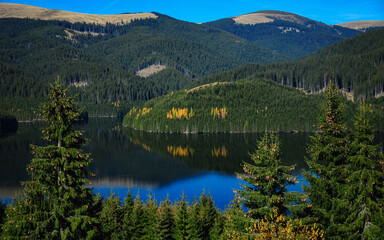 The spruce forests surrounding Vidra lake are reflecting into its calm, blue waters. Autumn season, Carpathia, Romania.