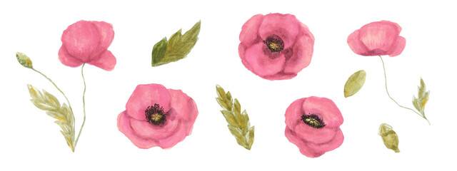 Hand drawn set with red poppies isolated elements. Watercolor flowers for handicraft, scrapbooking, stickers, cards, wrapping paper and packaging design