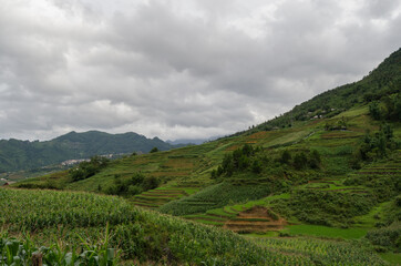 Naklejka premium Vietnam mountains