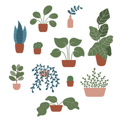 Hand drawn doodle plants in pots and vases on isolated background. Tropical and exotic flowers, vines, cactus and branches. Vector elements for cozy interior.