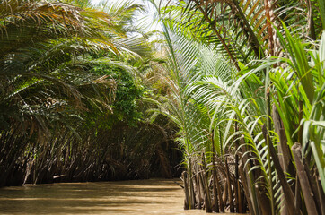 river in the jungle vietnam