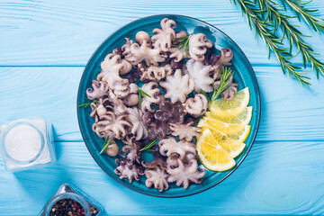 Baby octopus  . Seafood background
