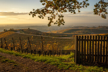Obraz premium Goldene Herbstlandschaft