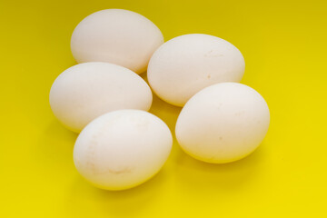 chicken eggs on yellow background