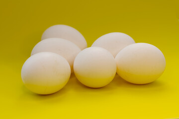 chicken eggs on yellow background