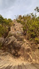 Fototapeta na wymiar A rock with a tree grown on top of a stone mountain.