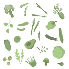 Flat green vegetables set in boho colors. No pattern. Vector stock illustration isolated on white background for packaging design. EPS10