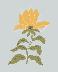 Vector yellow flower isolated on blue background. Trendy colorful botanical illustration. 
