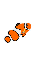 Clownfish Vector 1