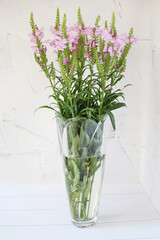 Pink flowers in a vase a gift summer