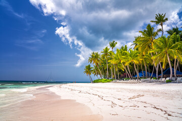 Palm trees on beautiful tropical sunny beach in Dominican republic