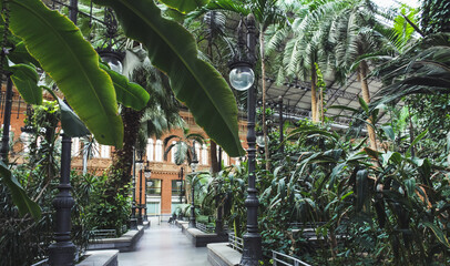 Tropical green house, location in Atocha train station, Madrid, Spain. - Powered by Adobe