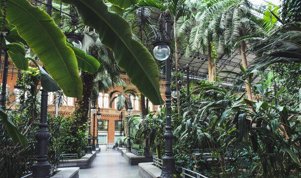 Tropical green house, location in Atocha train station, Madrid, Spain.