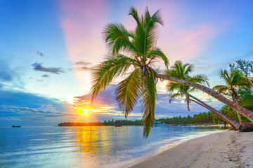 Obraz na płótnie Canvas Beautiful sunrise over tropical beach and palm trees in Dominican republic