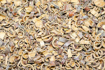 Medicinal herb Quercus cortex (dry Oak bark)