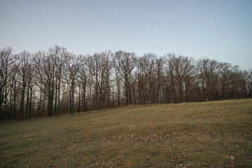 Verschneide Winterlandschaft