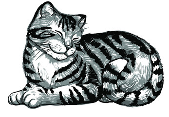 beautiful striped cute cat sitting and smiling, contoured black and white hand drawing, pet store logo logo isolated on white background