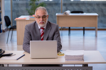 Aged businessman employee working in the office