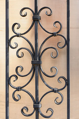 Modern wrought iron elements of a beautiful metal fence with a cobweb