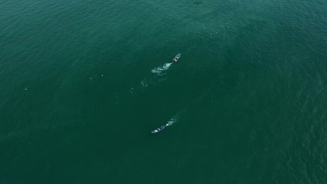 local small fishing boats in Golfe Dulce bay Costa Rica aerial
