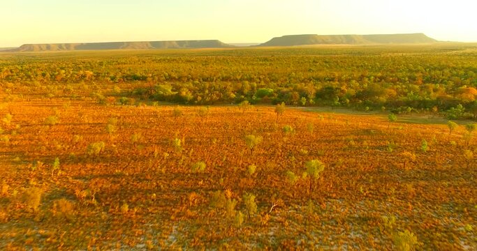 Cerrado do Brasil