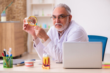 Old male dentist working in the clinic