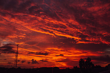 Fototapeta premium Amazing red sunset or dawn sky, view under roofs and trees. Violet and orange colors.