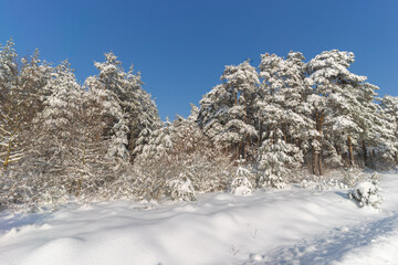 Verschneide Winterlandschaft