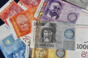 dinero de kirguistan