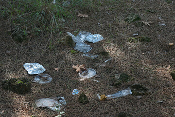 garbage on the forest floor