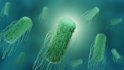 Salmonella is a bacterium cousing food poisoning, 3d render of gram negative bacillus bacteria - obrazy, fototapety, plakaty
