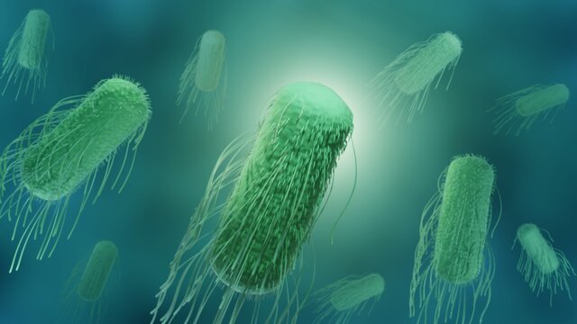 Salmonella is a bacterium cousing food poisoning, 3d render of gram negative bacillus bacteria