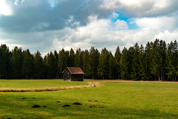 Scheune am Waldrand