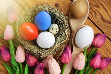 Happy Easter holiday card, Easter red blue and white color eggs   in the nest and flowers 