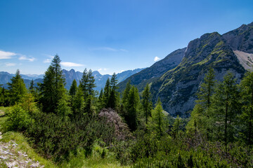 Panoramatic view on the way to Vrsic viewpoint, Vrsic pass, Slovenia
